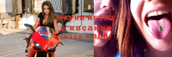 прущие грибы Новокубанск