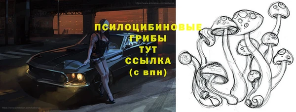 крисы Новозыбков