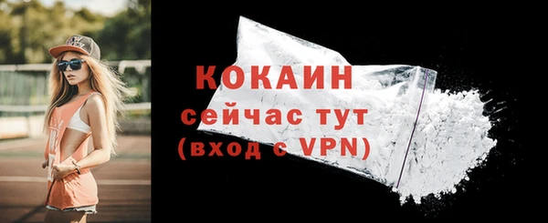 таблы Новодвинск