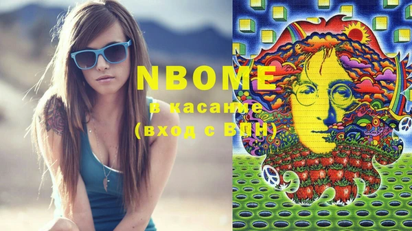 крисы Новозыбков