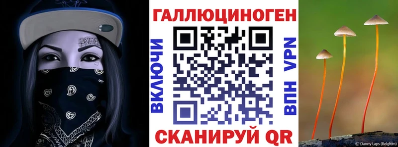 Галлюциногенные грибы GOLDEN TEACHER Шагонар